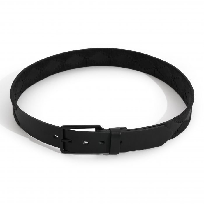 Cinturón Pampa - Imagen 5