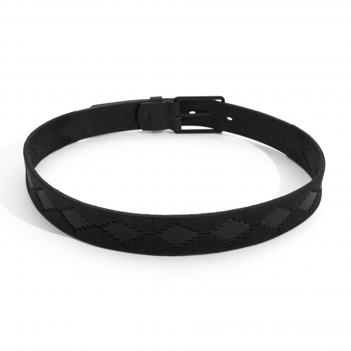 Cinturón Pampa - Imagen 3